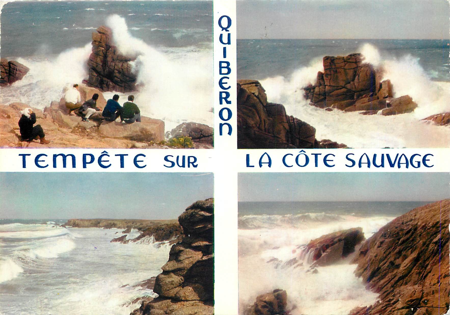 CPM Bretagne presqu'ile de Quiberon (Morbihan) La Cote Sauvage
