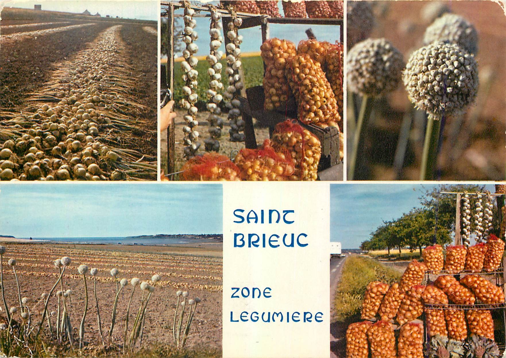 CPM Bretagne Saint Brieuc Yffiniac Langue (C du N) Zone legumiere