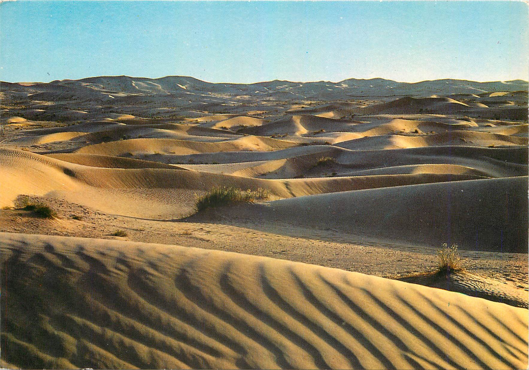 CPM Algerie Le Sud Faoscinant
