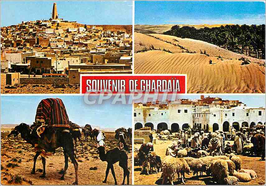 CPM Algerie Souvenir de Ghardaia