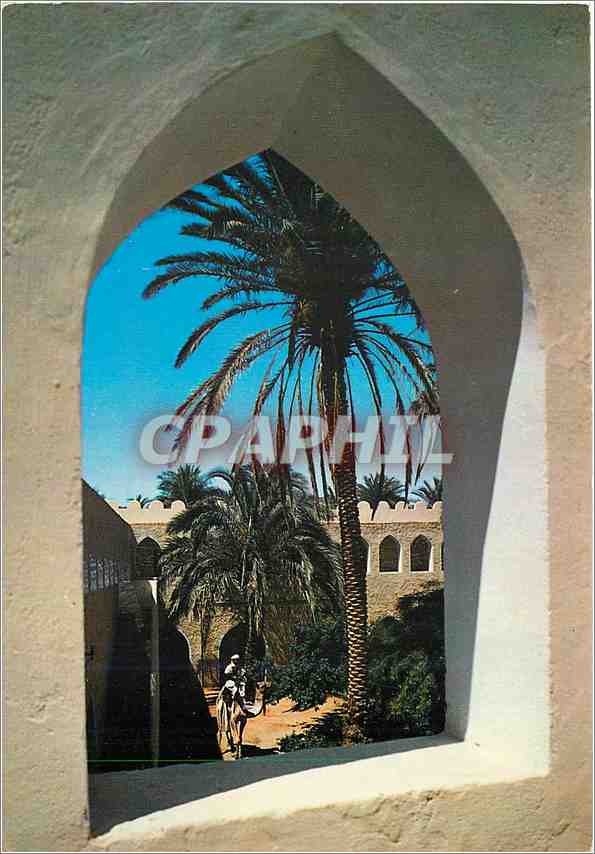 CPM Algerie El Gole Vue Pittoresque
