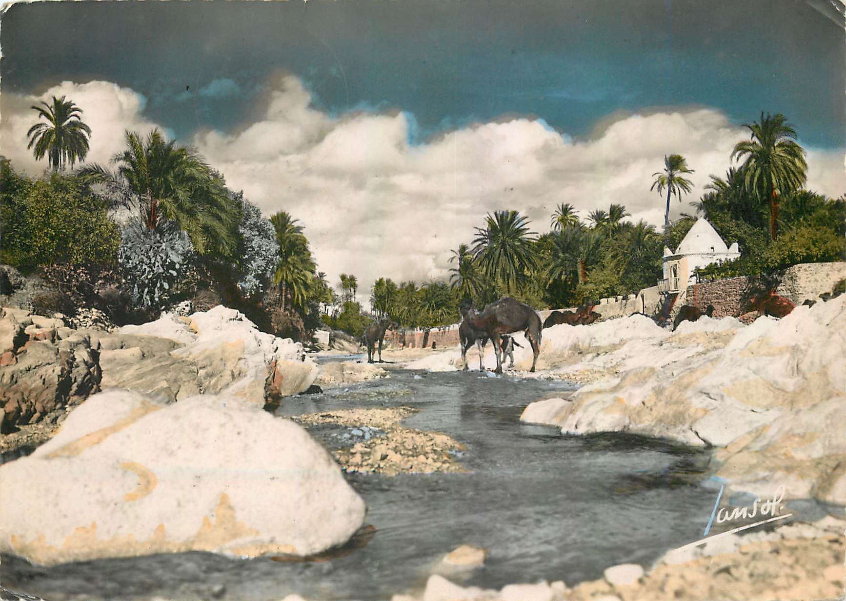 L'Oued et la Palmeraie — Algérie — Édition photographique Jansol, Chambéry