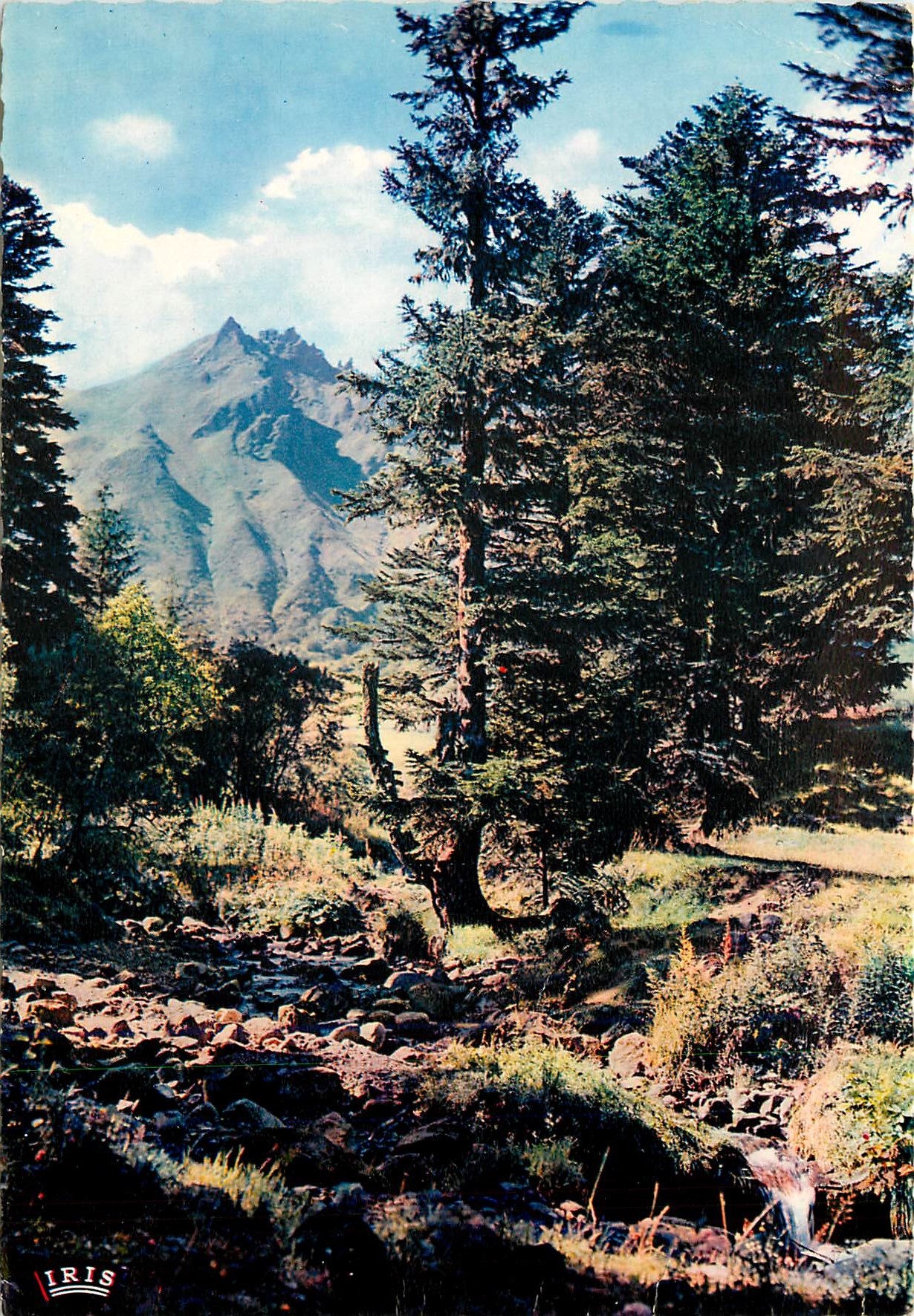 CPM Env du Monte Dore (P de D) La Dordogne au pied du Sancy (1886 m)
