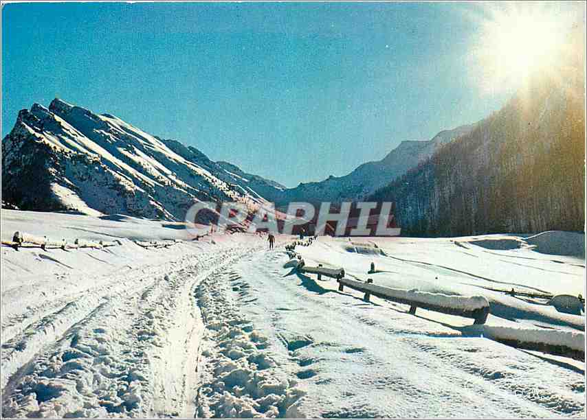 CPM Les Alpes en Hiver lever de Soleil