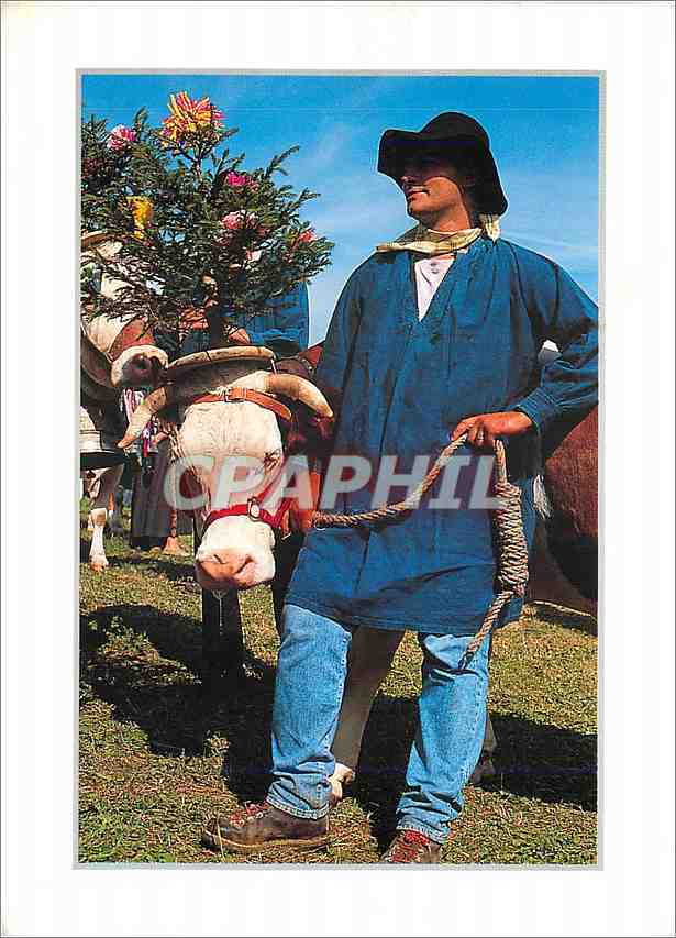 CPM Les Coulerus du Jura (Franche Comte) La fete du Haut Jura Costume traditionnel et vache decoree