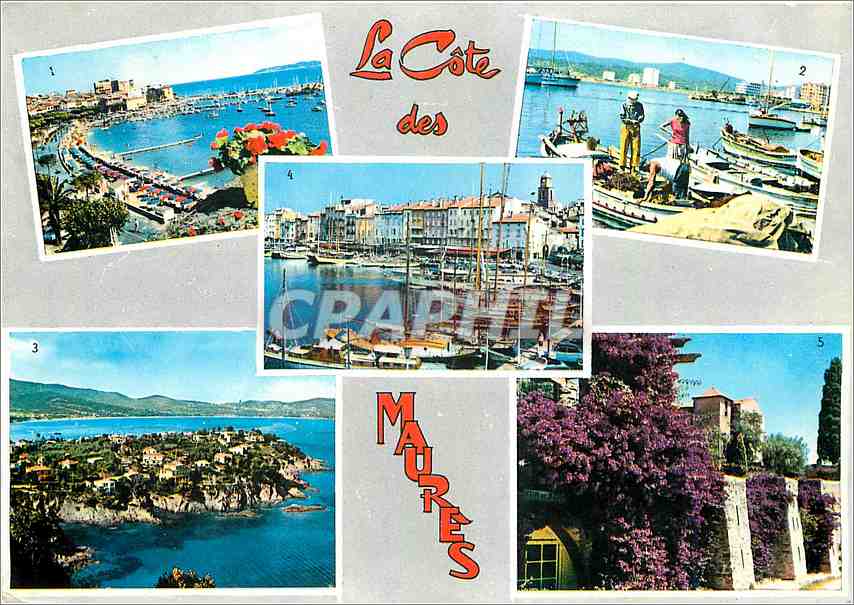 CPM La Cote des Maures Ste Maxime sur Mer Le Lavandou