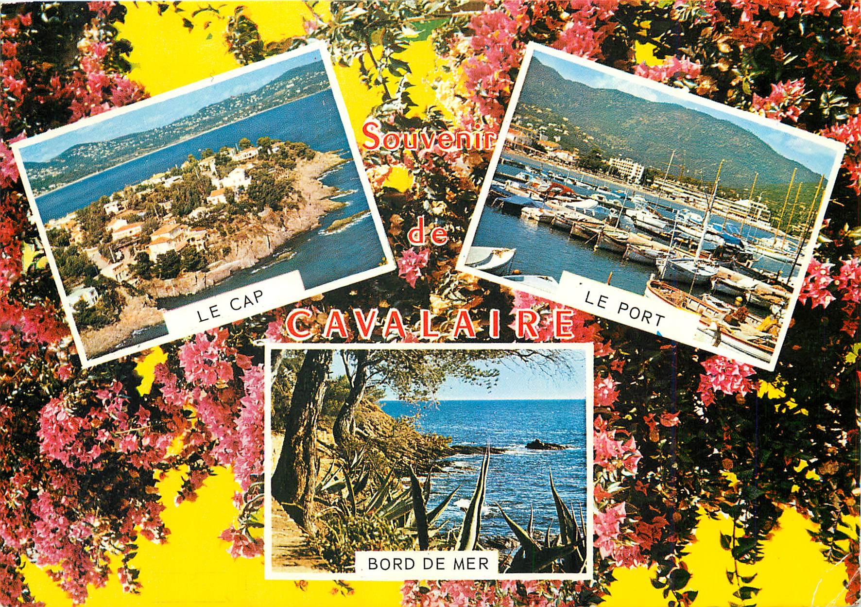 CPM La Cote d'Azur Cavalaire sur Mer (Var) Le Cap et la Baie le Port Bord de Mer