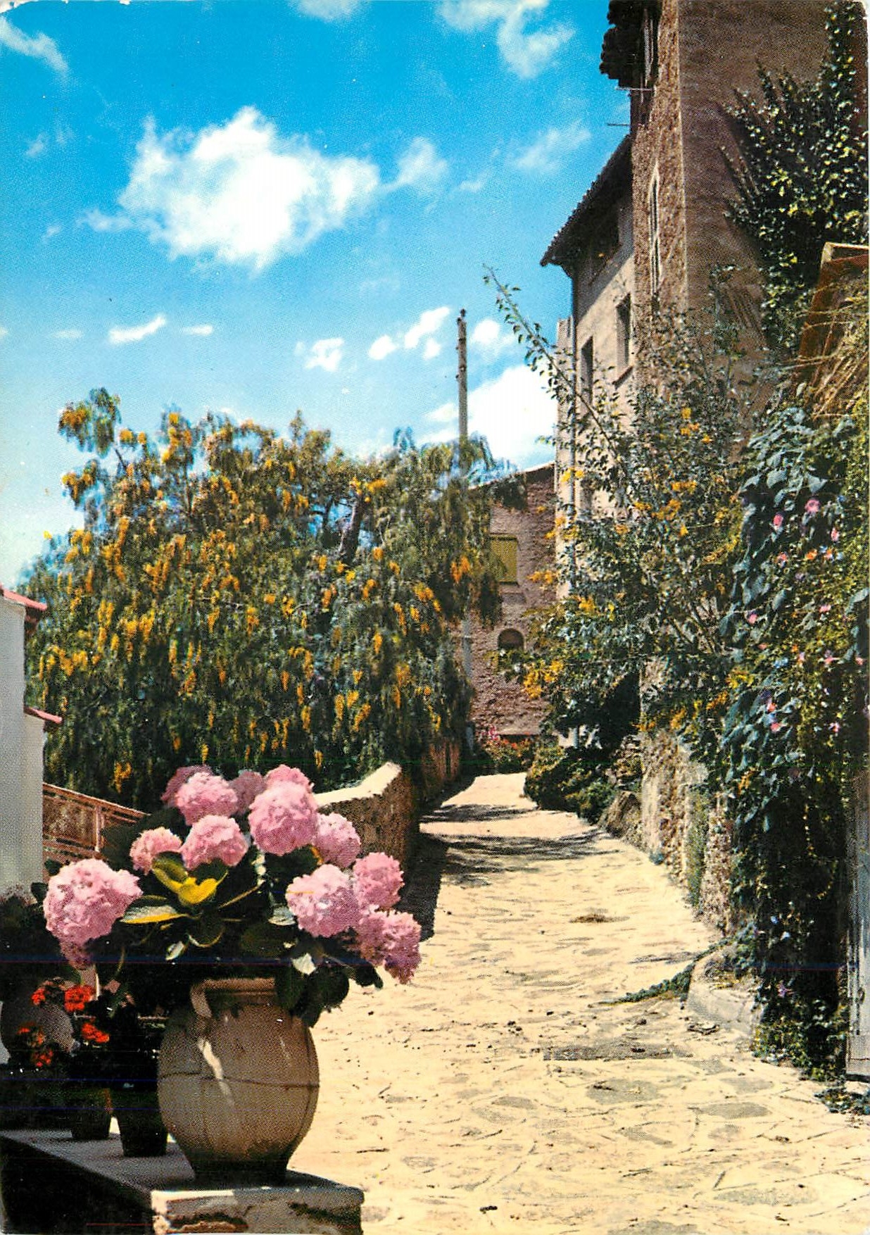 CPM La Cote d'Azur Bormes les Mimosas (Var) Ruelle pittoresque