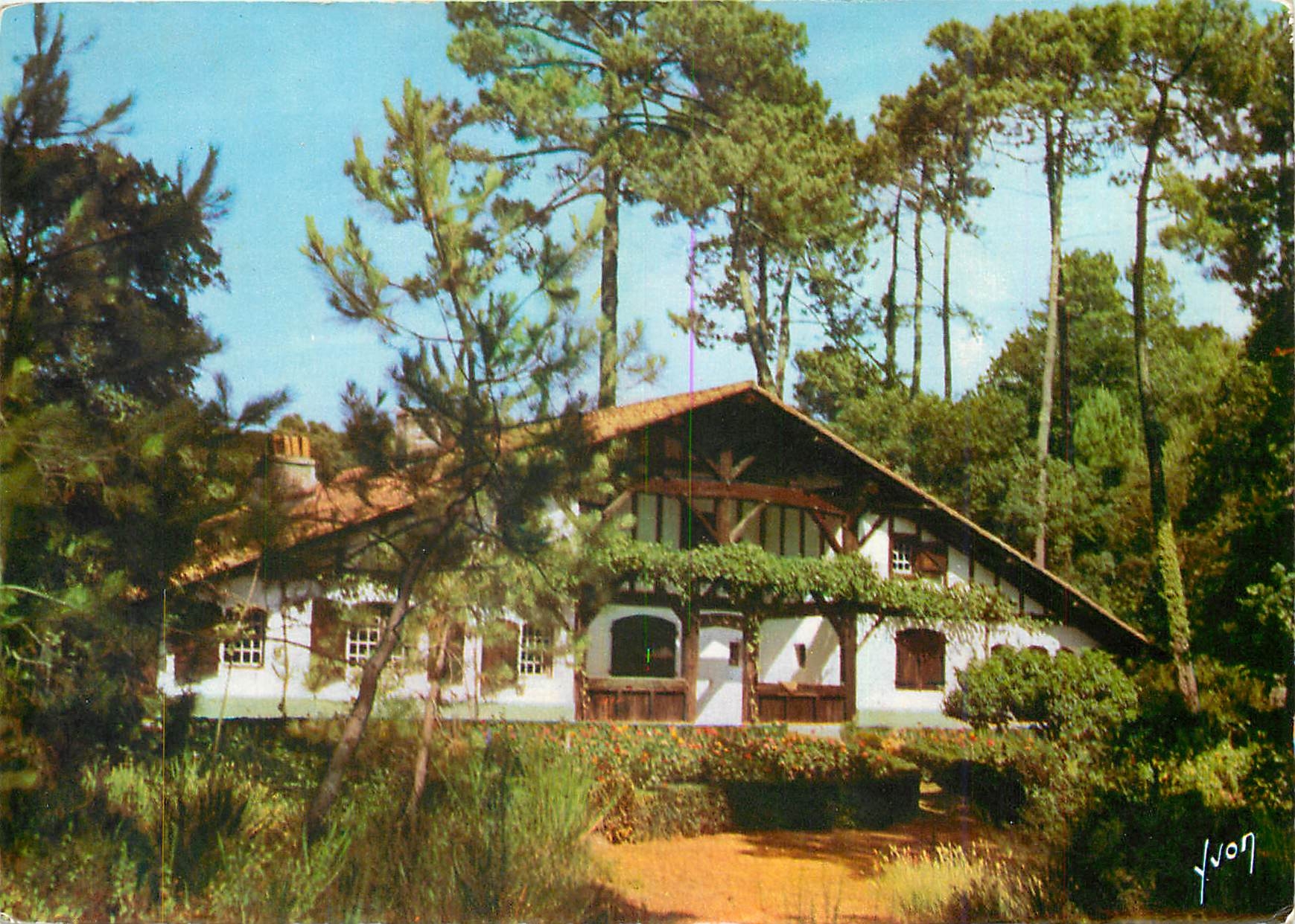 CPM Couleurs et Lumiere de France Villa Landaise dans la Foret de Pins