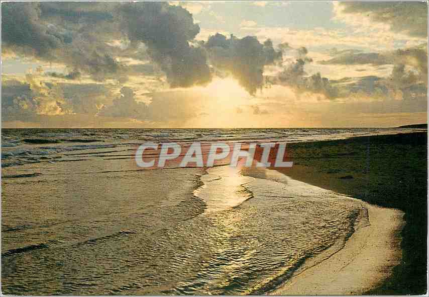 CPM Quoi de plus agreable que de rever le soir Etendu sur le Sable