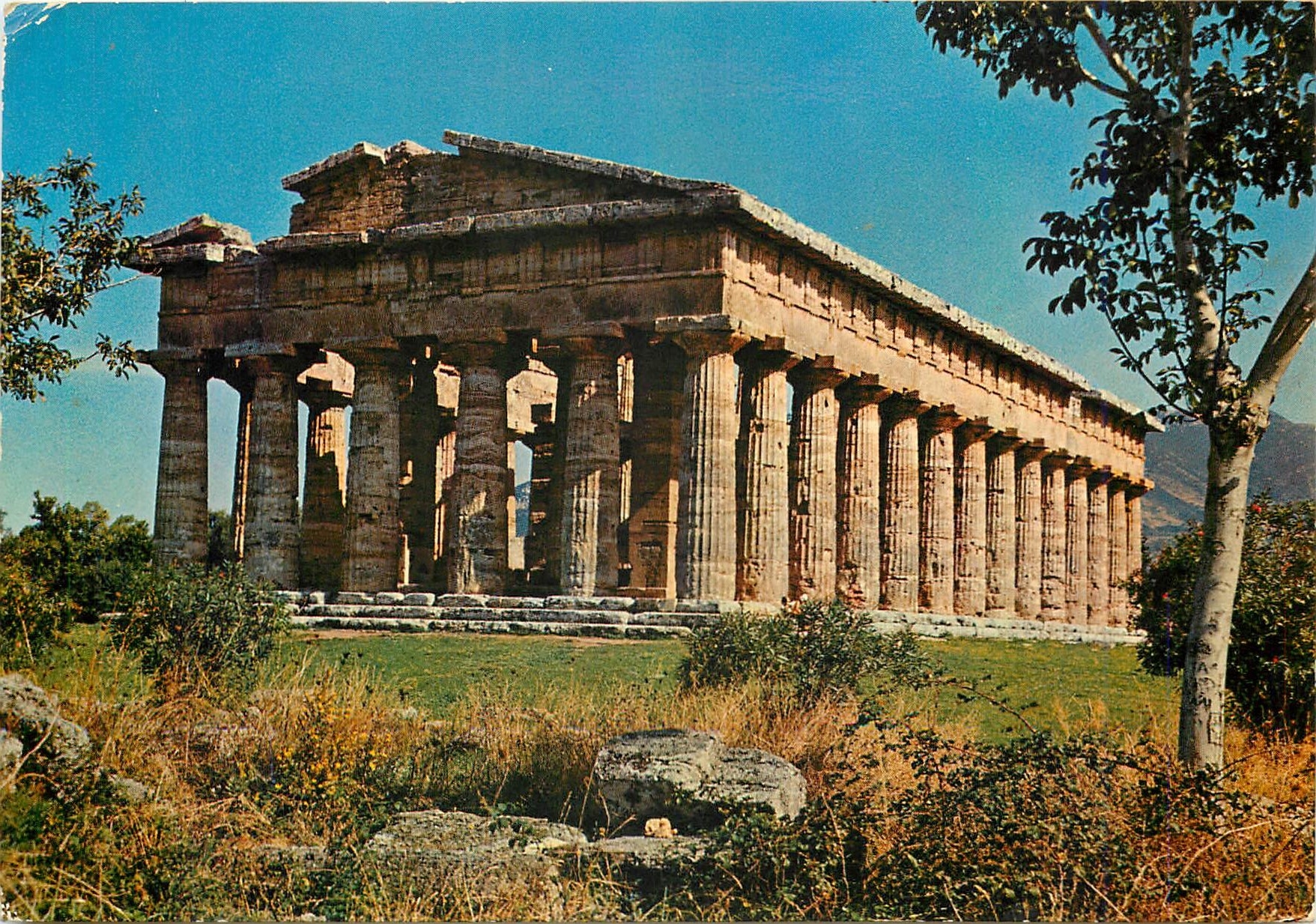 CPM Paestum Temple de Neptune