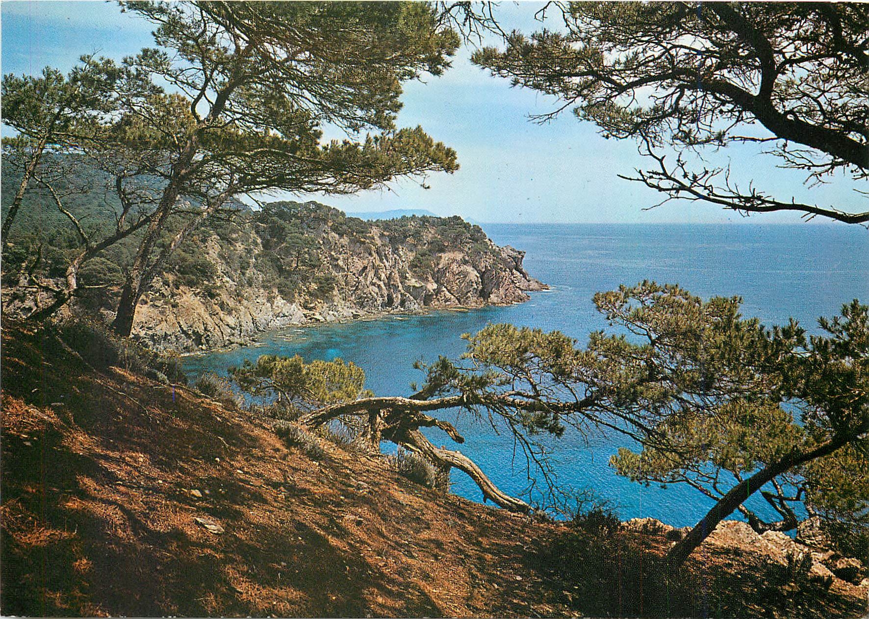 CPM Mediterranee aux rivages sans nuages calanque aux reflets d'or