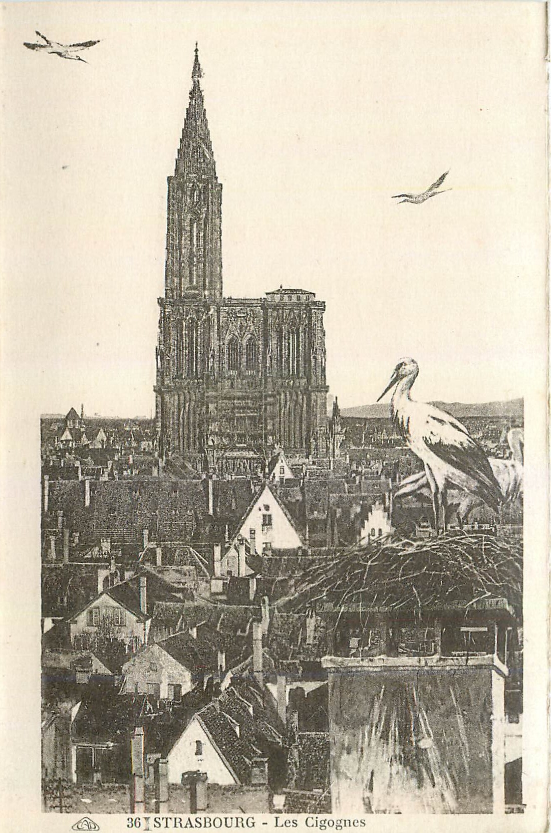 CPM Strasbourg Les Cogognes