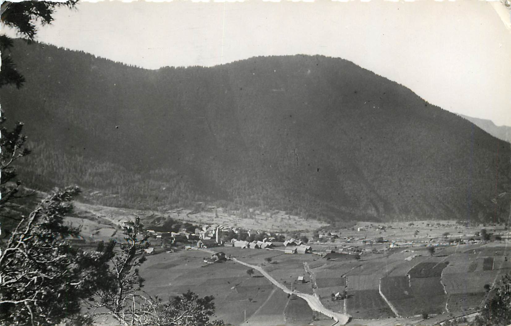 CPM St Dalmas Valdeblore (A M) Alt 1300 m Le Bois Noir et la route de la Colmiane