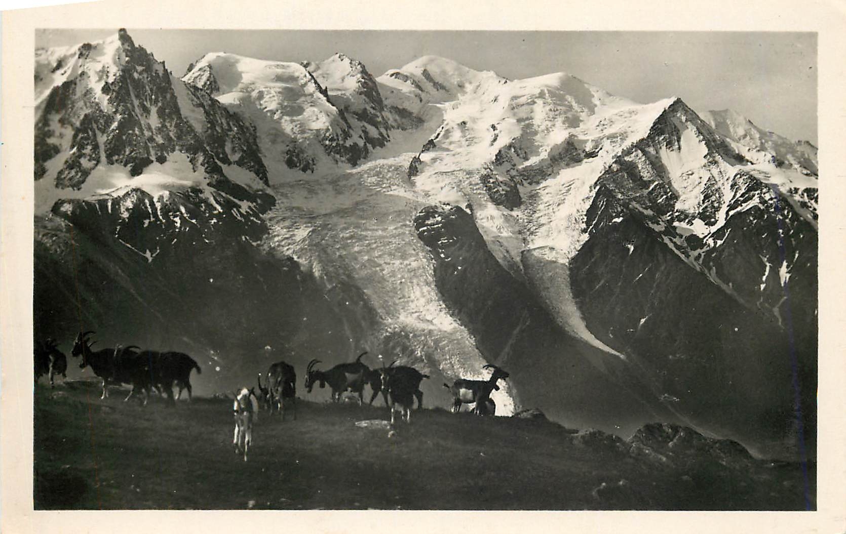 CPM Chamonix Mont Blanc Massif de Mont Blanc vu de Plan Praz Chevres