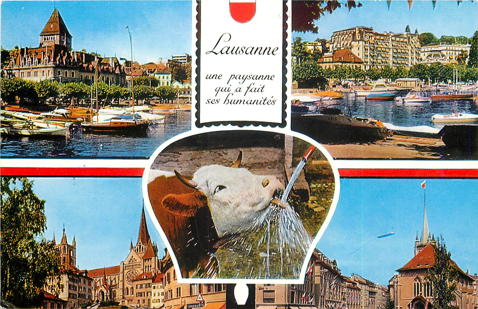 CPM Lausanne une paysanne qui a fait ses humanites Vache