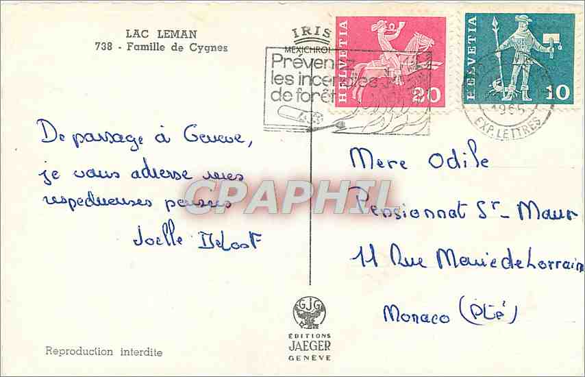 CPM Lac Leman Famille de Cygnes — Rückseite