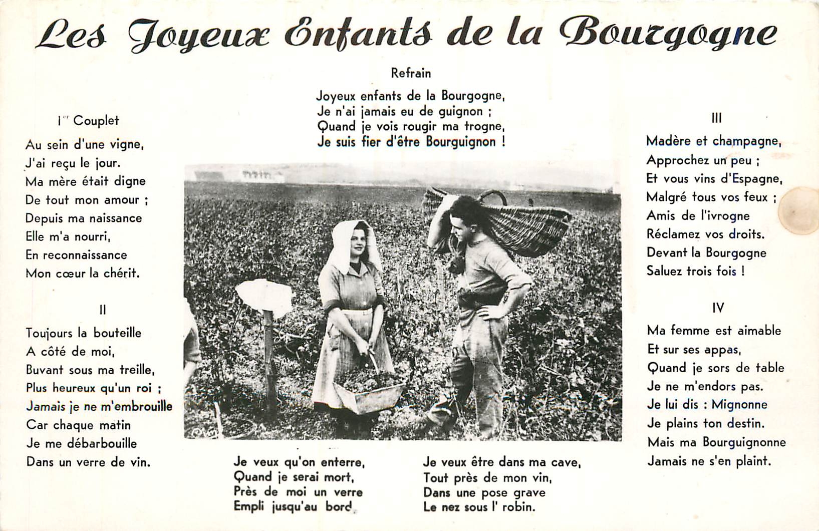 CPM En Vendanges Bourgogne Folklore