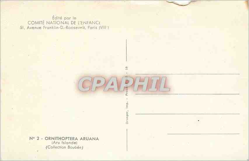 CPM Comite National de l'Enface Avenue FrancklinD Roosevelt Paris Papillon Ornithoptera Aruana — Rückseite