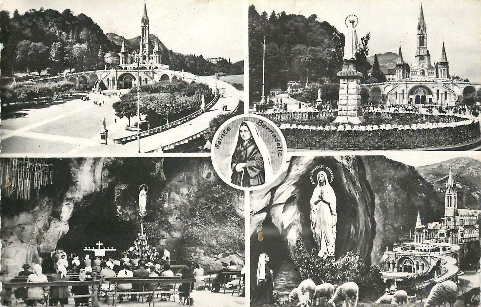 CPM Lourdes La Basilique la grotte et l'apparition