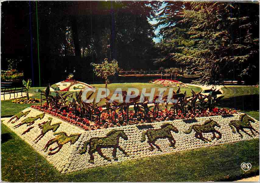 CPM Coutances (Manche) Motifs floraux du jardin public