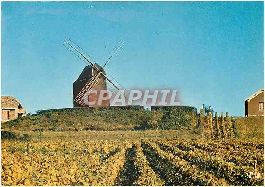 CPM La Champagne Moulin Historique de Verzenay