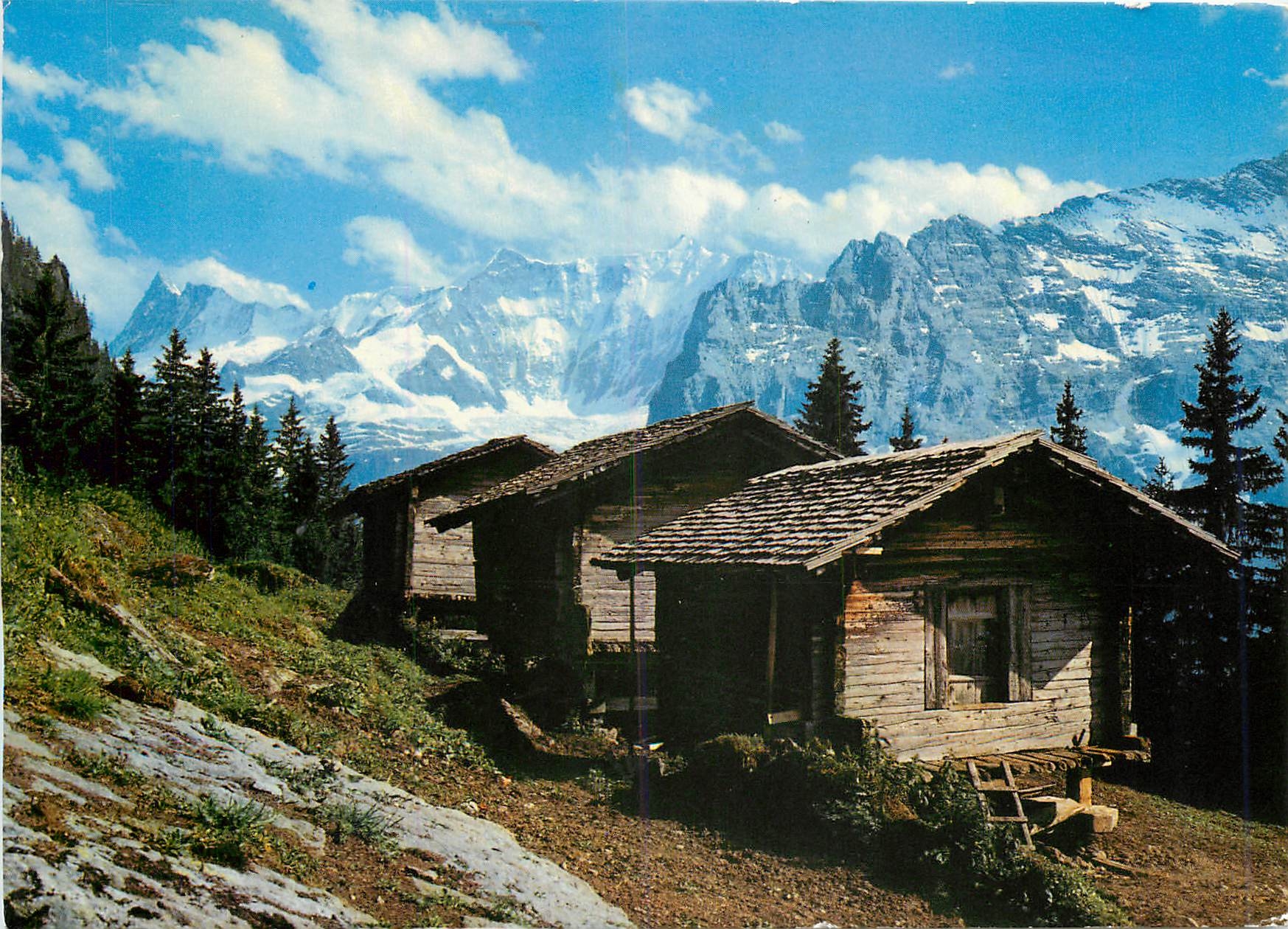 CPM Spatenbodenrotmoos ab Grindelwald (Berner Oberland