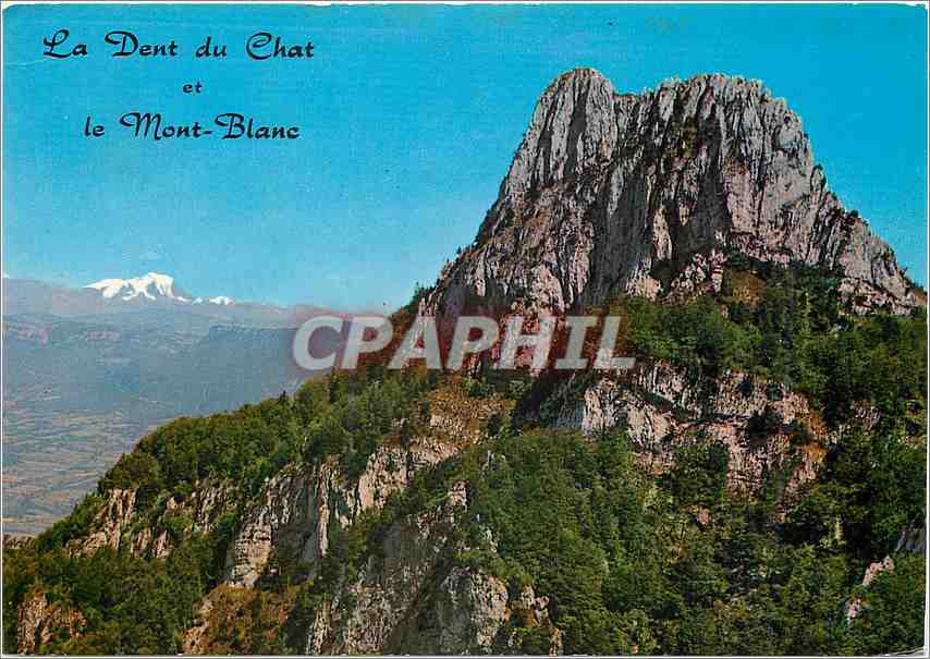 CPM Paysages de Savoie la Dant du chat alt 1390 m et le Massif du Mont Blanc
