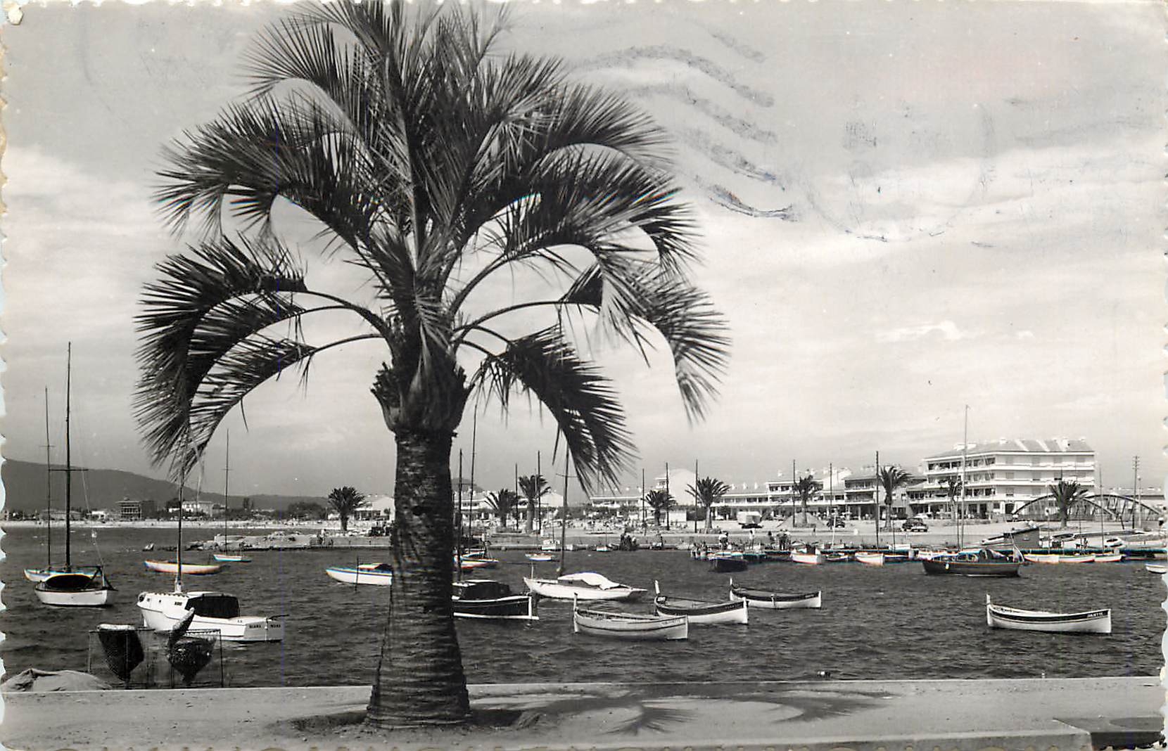 Port de Saint-Raphaël — vue du port avec palmier — Edit. AJAX, n° 1572