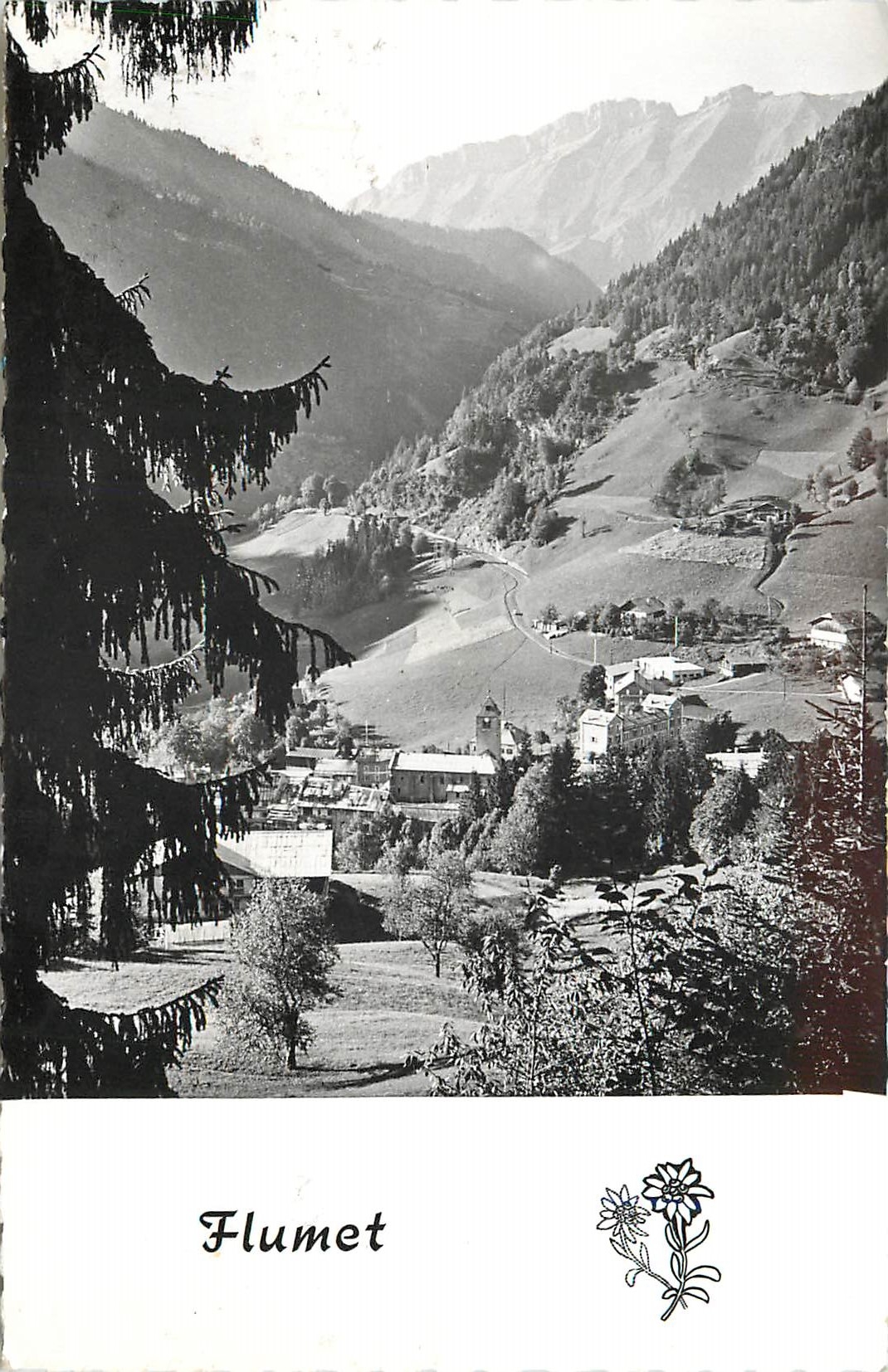 CPM Flumet (Savoie) alt 920 m les Aravis