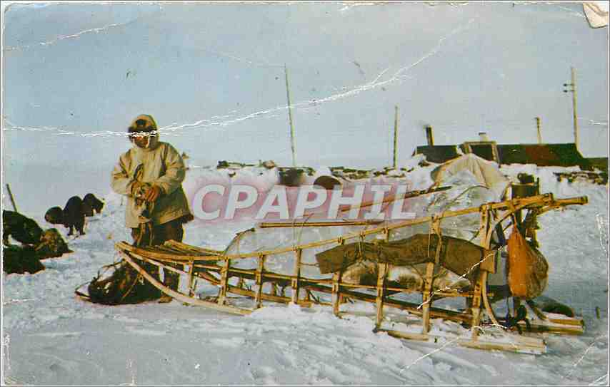 CPM Alaska Travel in the Arctic Eskimo sled and Dogs