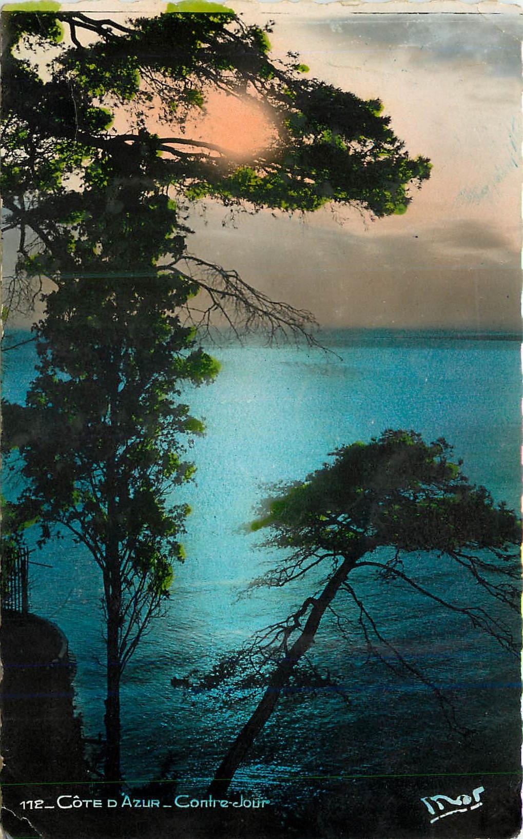 CPM La Cote d'Azur Contre Jour