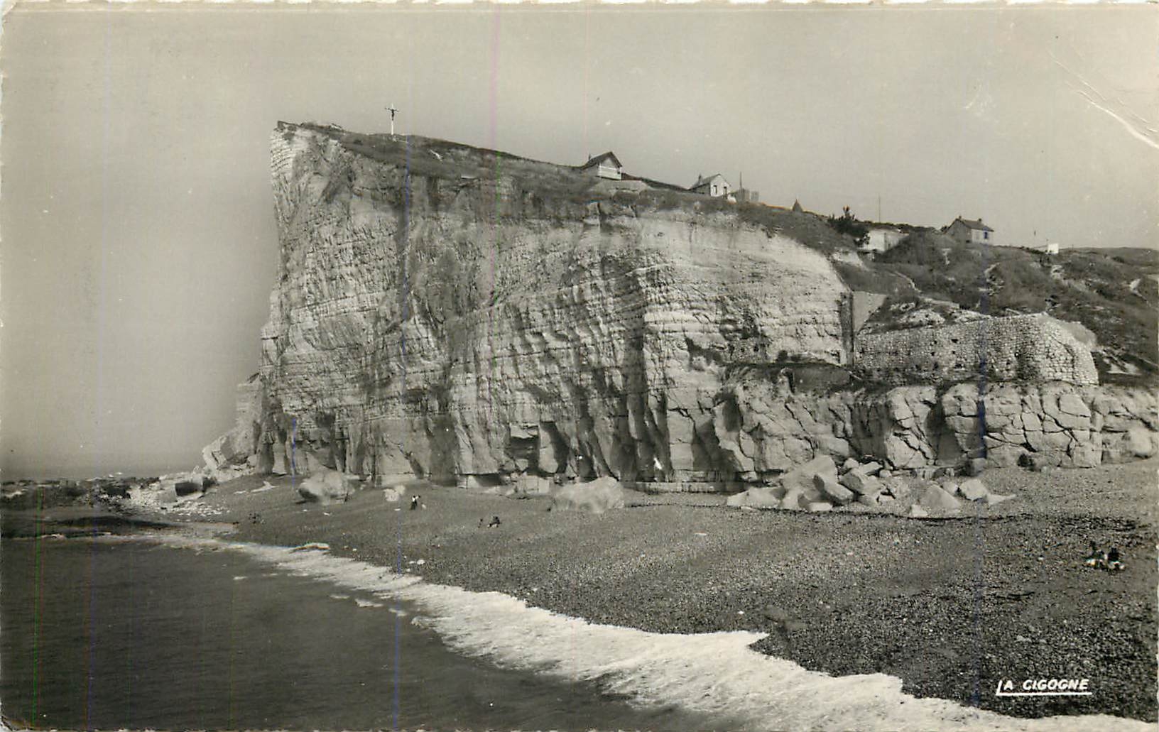 CPM Fecamp (Seine Mar) Les Falaise cote Nord