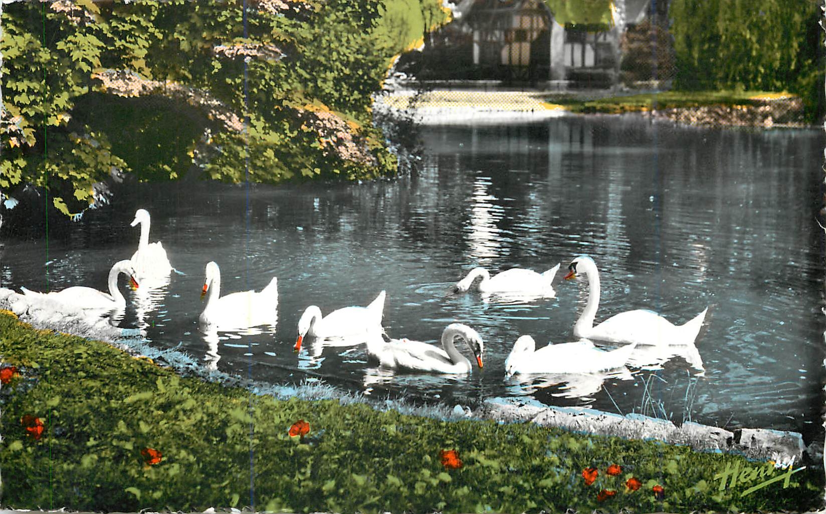 CPM Vittel Place d'eau dans le Parc Cygnes