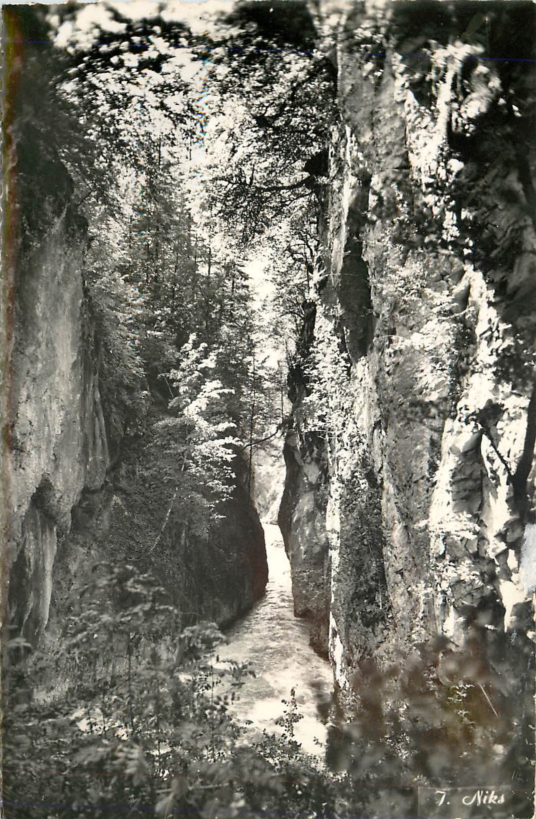 Gorges de Tines — entre Sixt et Samoëns — J. Niks