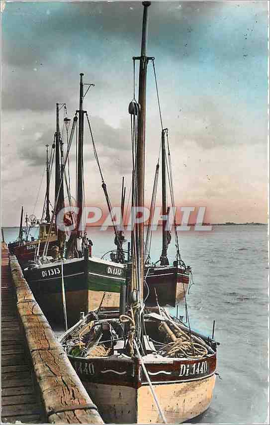 CPM Cayeux (Somme) Le Hourdel Bateau de Peche