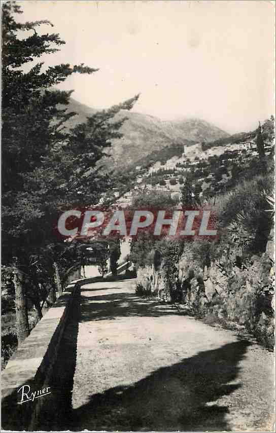 CPM Les Bord de la riviera Roquebrune Route de la Turbie et vue sur Roquebrune