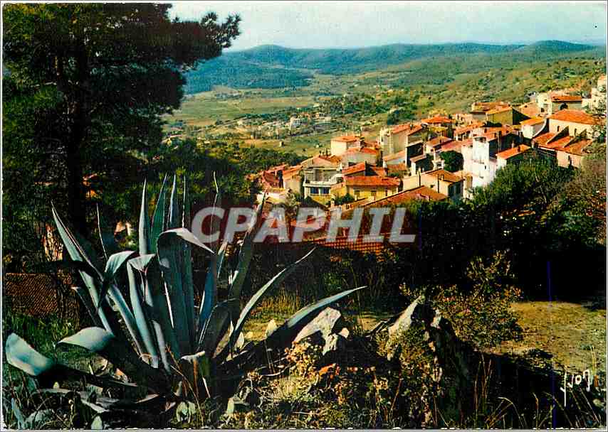 CPM Couleurs et Lumiere de France La Cote d'Azur miracle de la nature Bormes les Mimosas (Var) Ravis