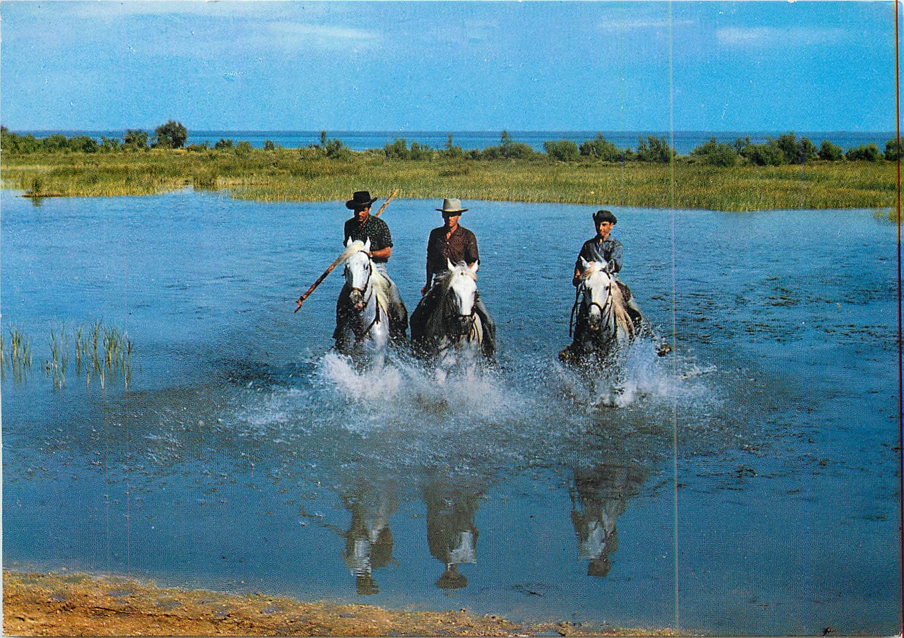Gardiens sur les bords du V accarès — Camargue — Éditions Couleurs Naturelles, n° 13.346