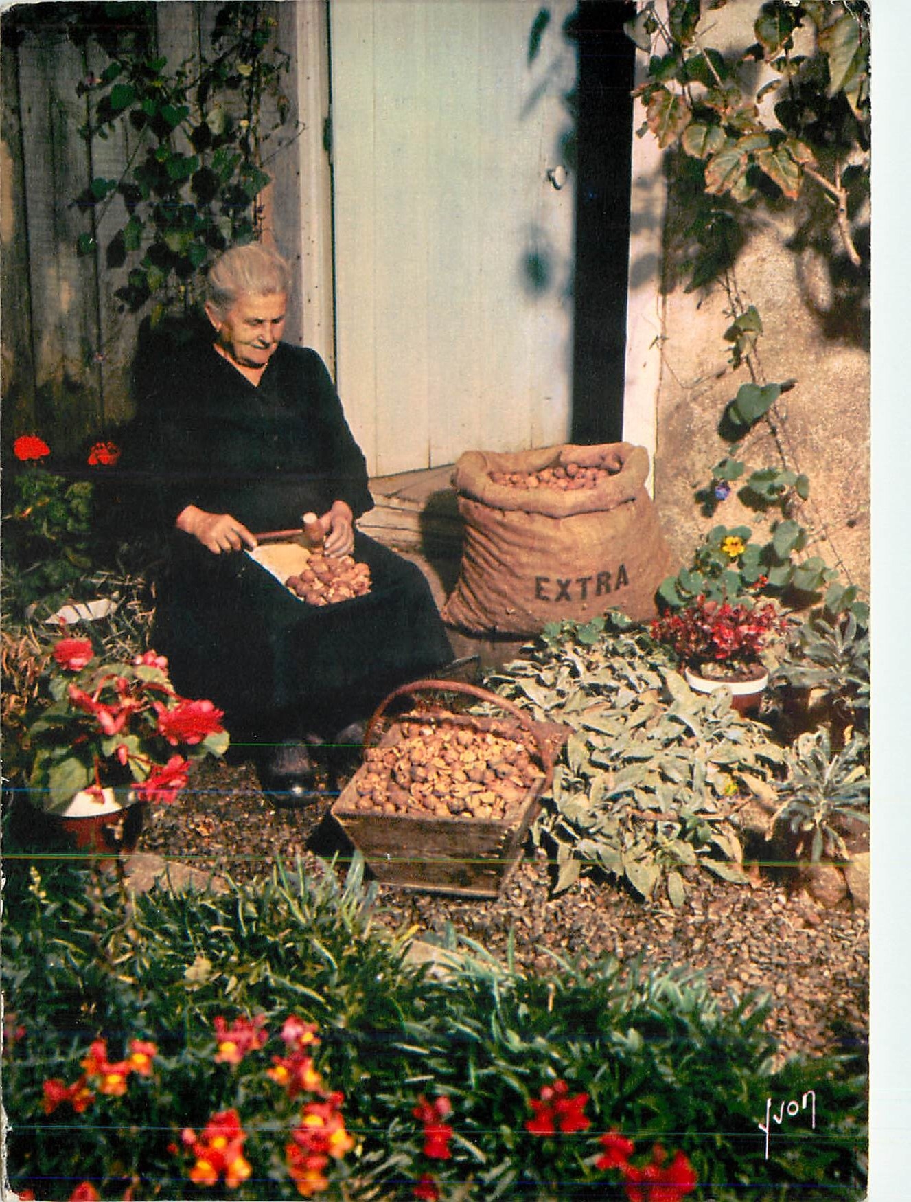 Casseuse de Noix — Périgord — Éditions de Yvon
