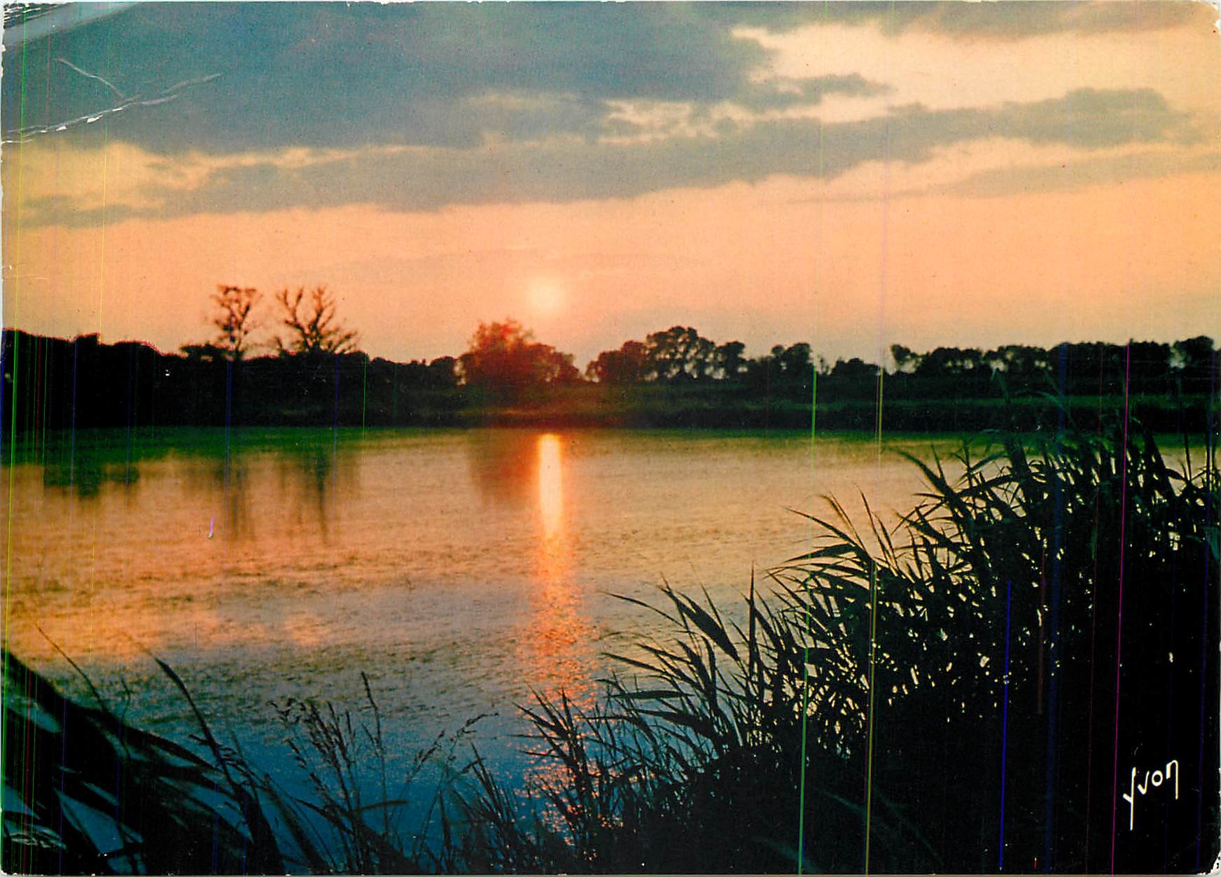 CPM Couleurs et Lumiere de France En Camargue (B du R) Coucher de Soleil sur une riziere