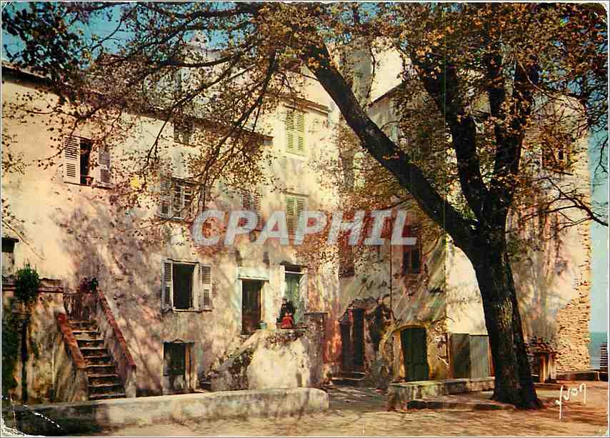 CPM Couleurs et Lumiere de France La Corse oasis de Beaute Saint Florent Monbres et lumieres sur les