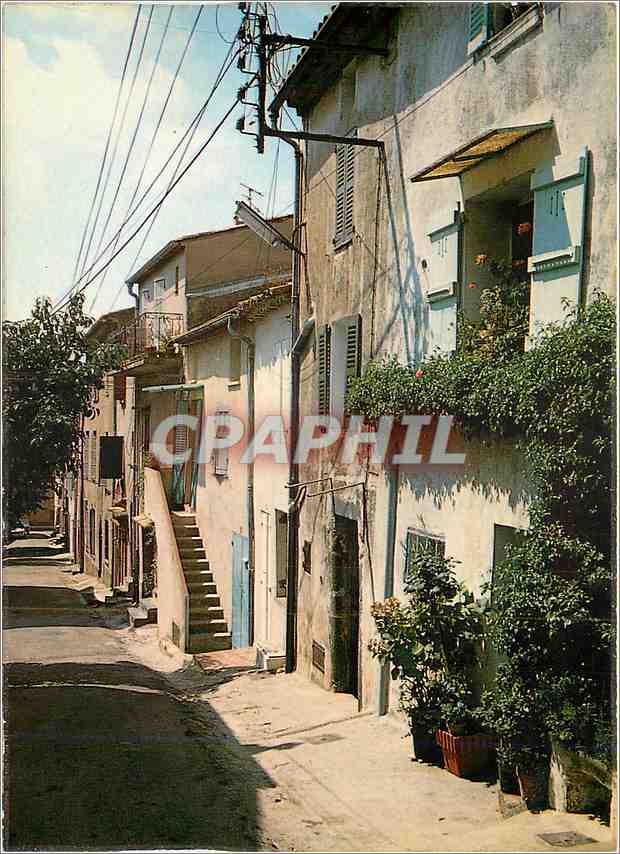 CPM Lumiere et Beaute de la Cote d'Azur Cogolin Rue de la Resistance