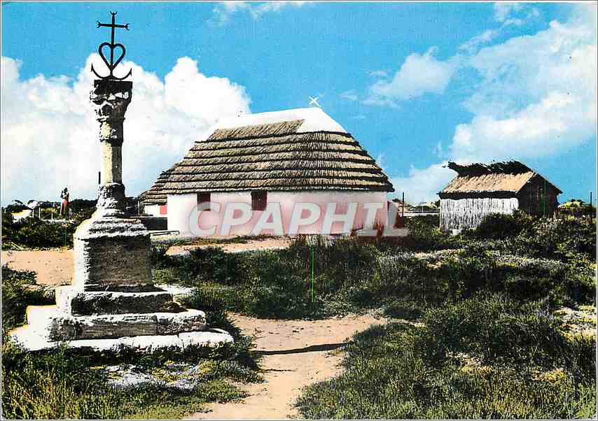 CPM En Camargue (Bouche du RHone) La Croix et Cabanes de Gardians
