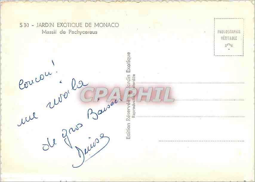 CPM Jardin Exotique de Monaco Massif de Pachycereus — Rückseite