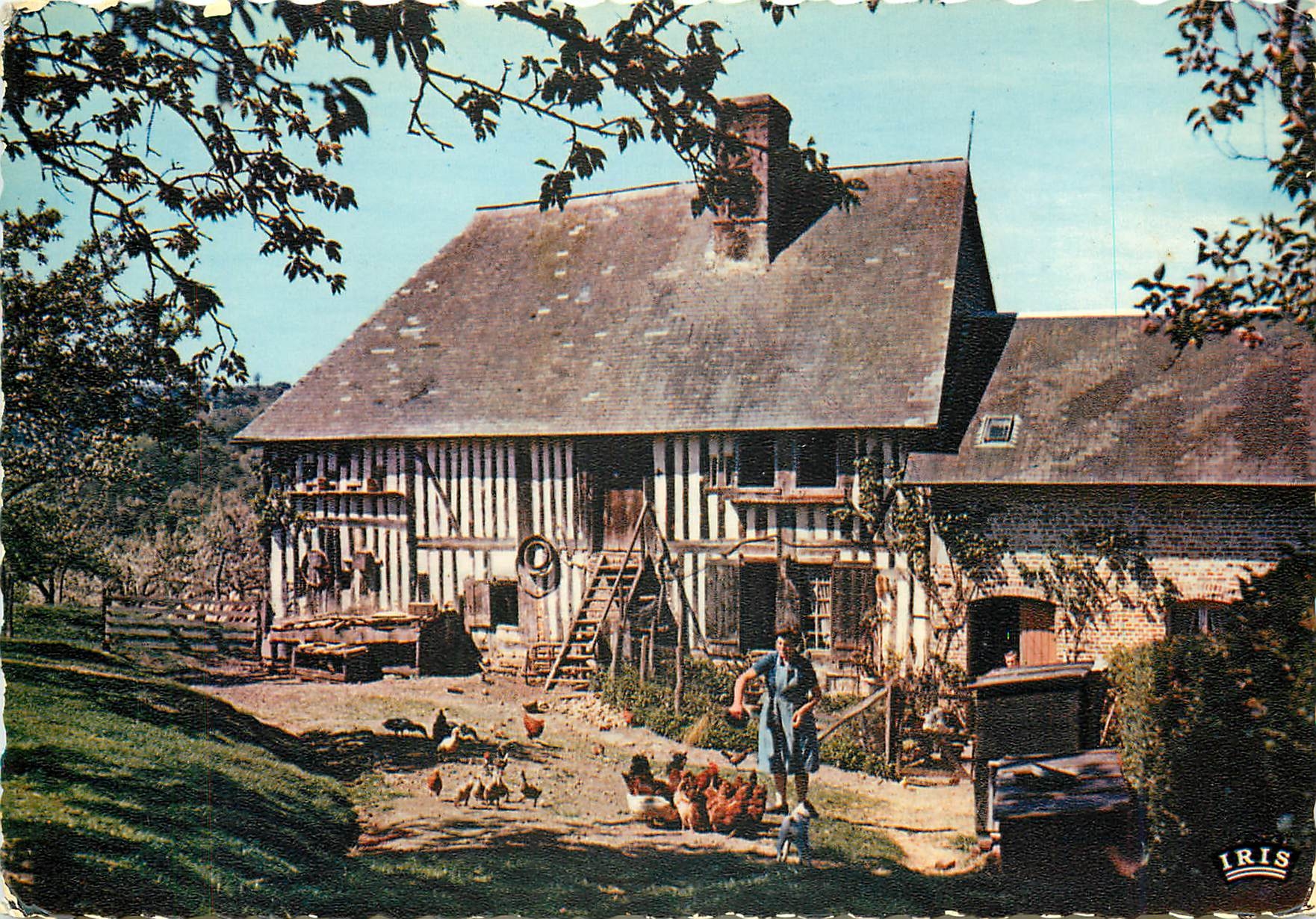 CPM La Normandie Ferme Normande La basse cour