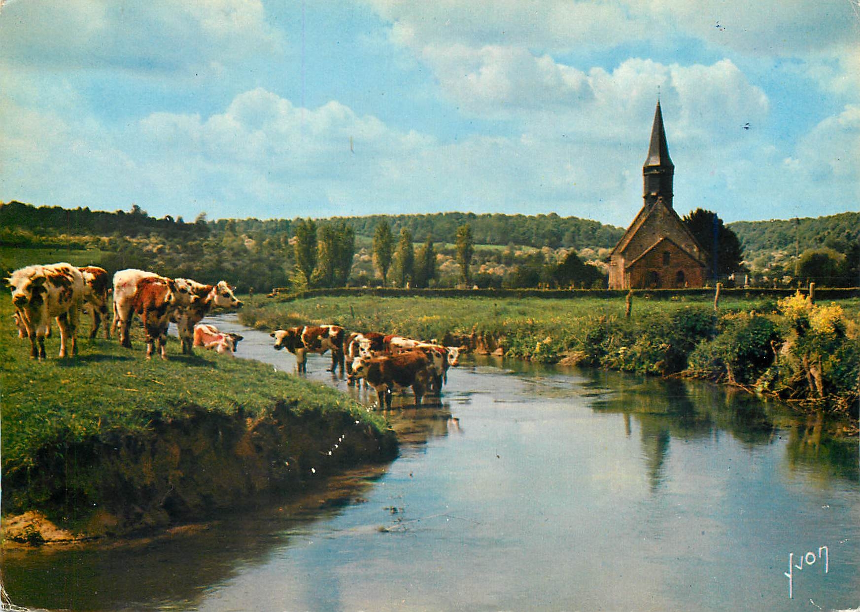 CPM Couleurs et Lumiere de France La Luxuriante Normande en Vallee d'Auge les rives de la Tougues