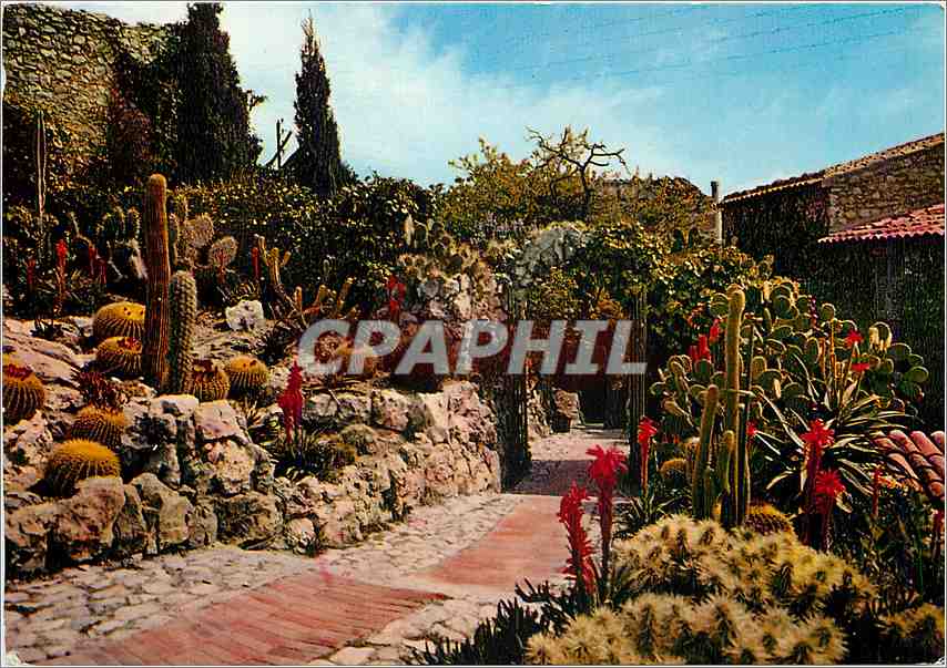 CPM La Cote d'Azur French Riviera Eze village le jardin exotique