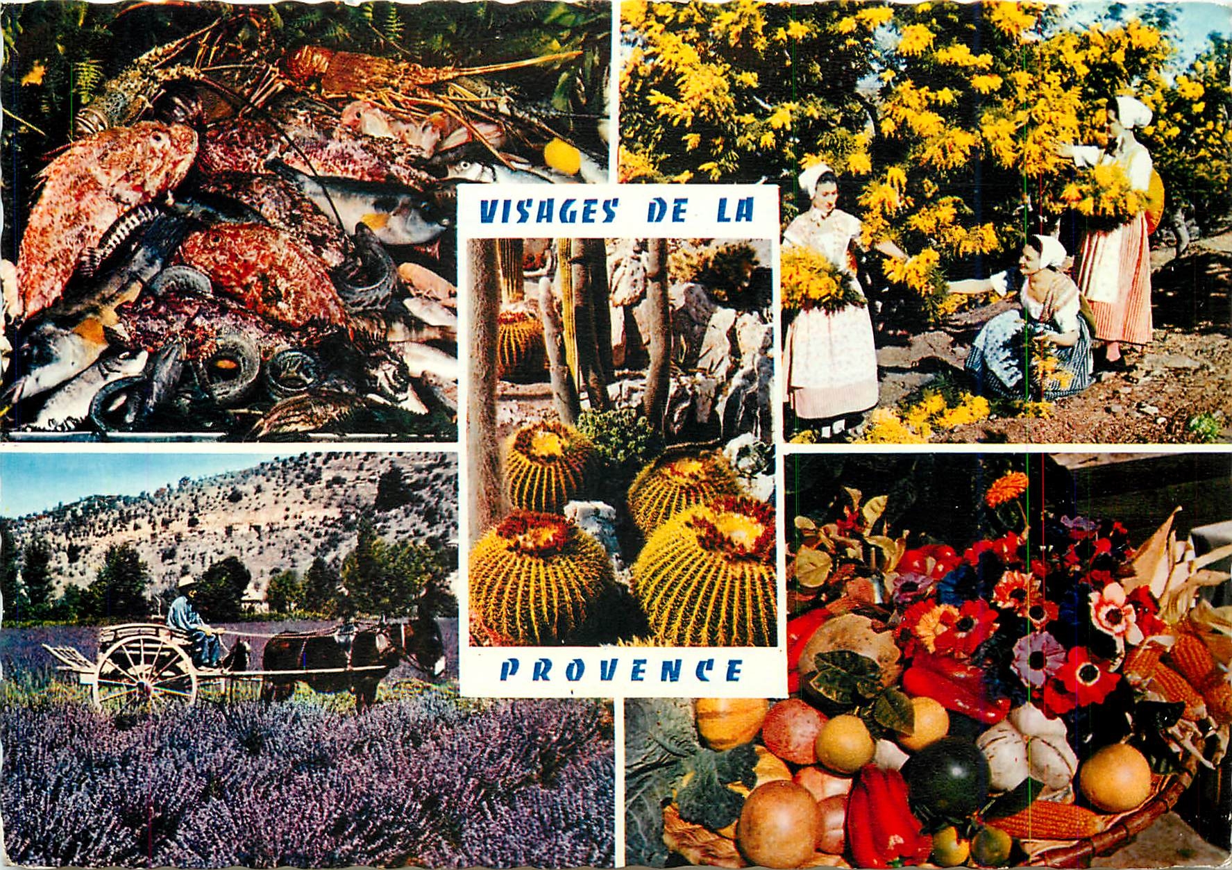 CPM Reflets de la Cote d'Azur Visages de la Provence