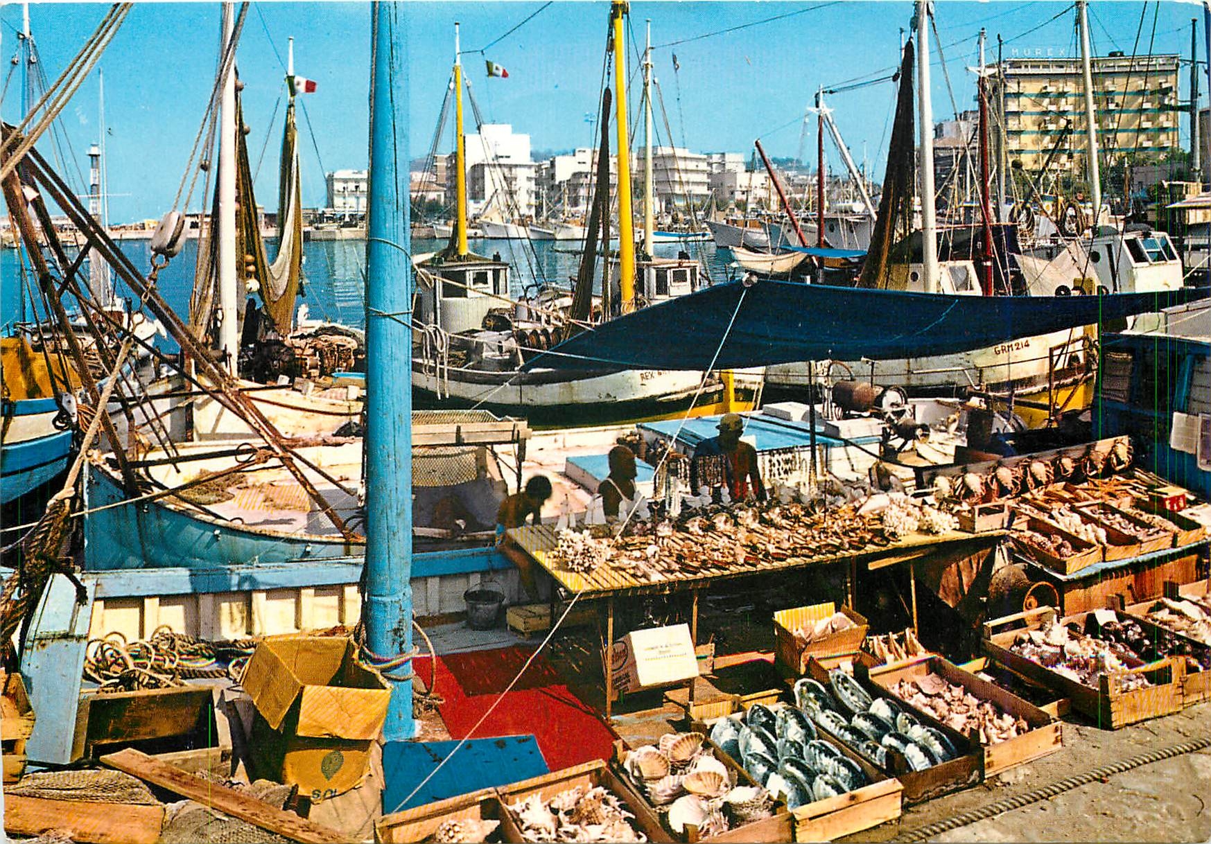 CPM Riviera Adriatique Cattolica le Port Bateaux